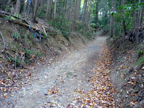 松尾山の登山道